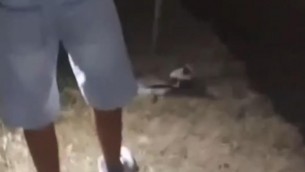 Uccidono anatra a bastonate e girano video choc: "E' viva, finiscila"
