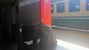 Uccidono cane di un clochard a Ponte Galeria: ecco cosa rischiano