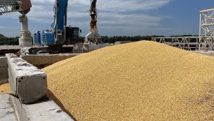 Ucraina: "Accordo con Croazia per export grano"