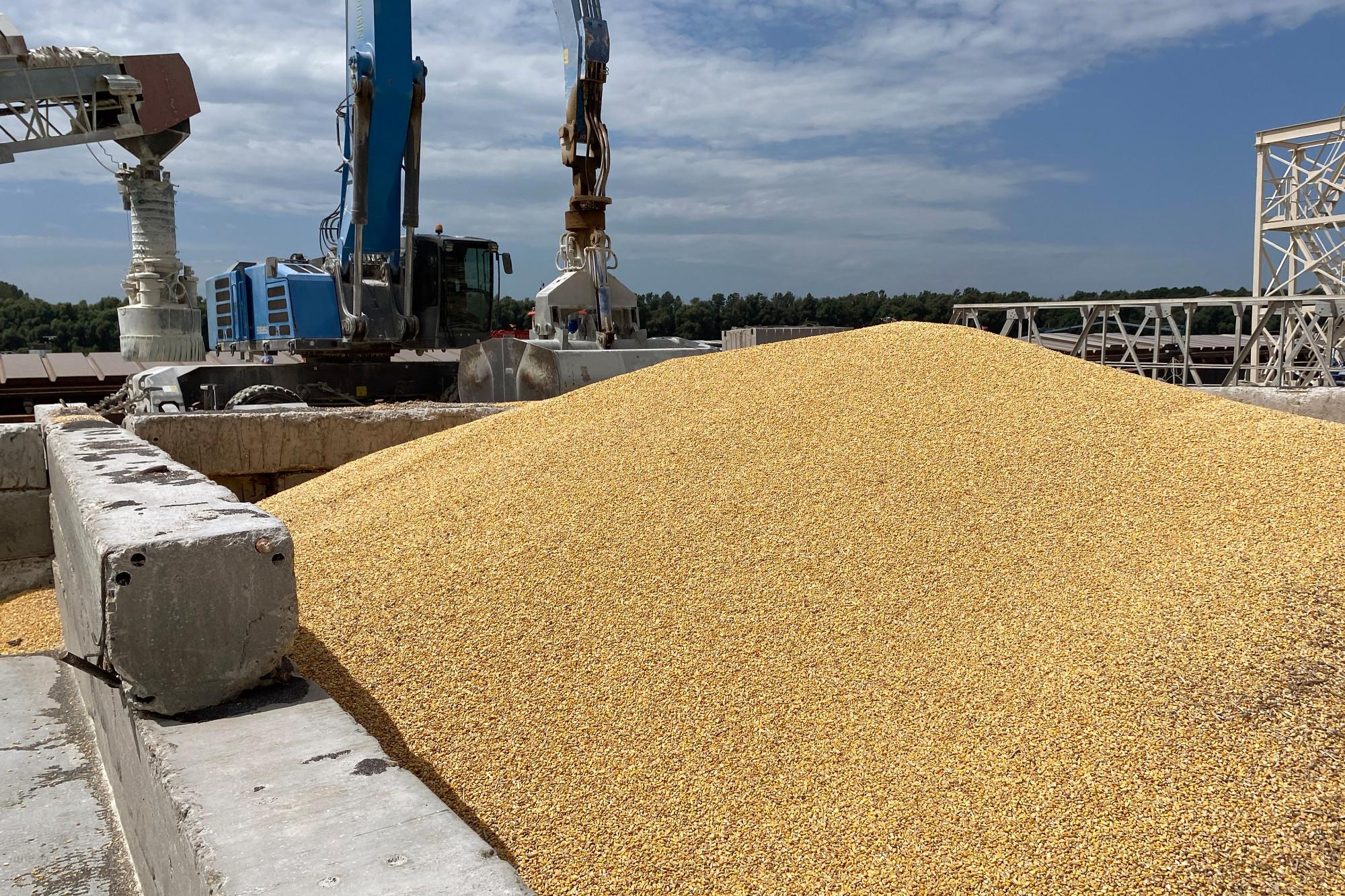 Ucraina: "Accordo con Croazia per export grano"
