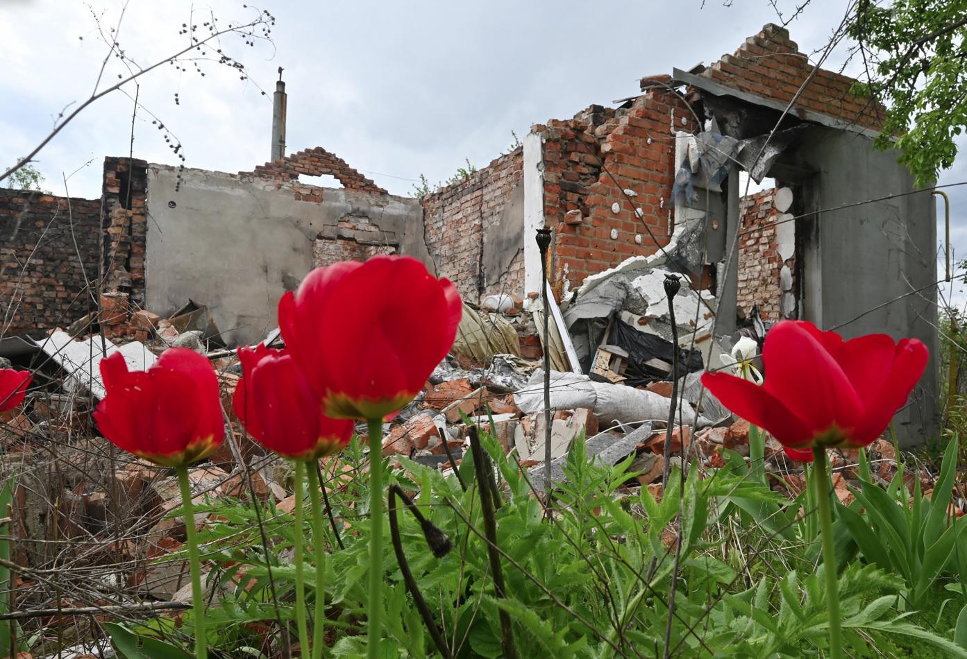Ucraina, ambasciata a Kiev: "Italiani lascino il Paese"