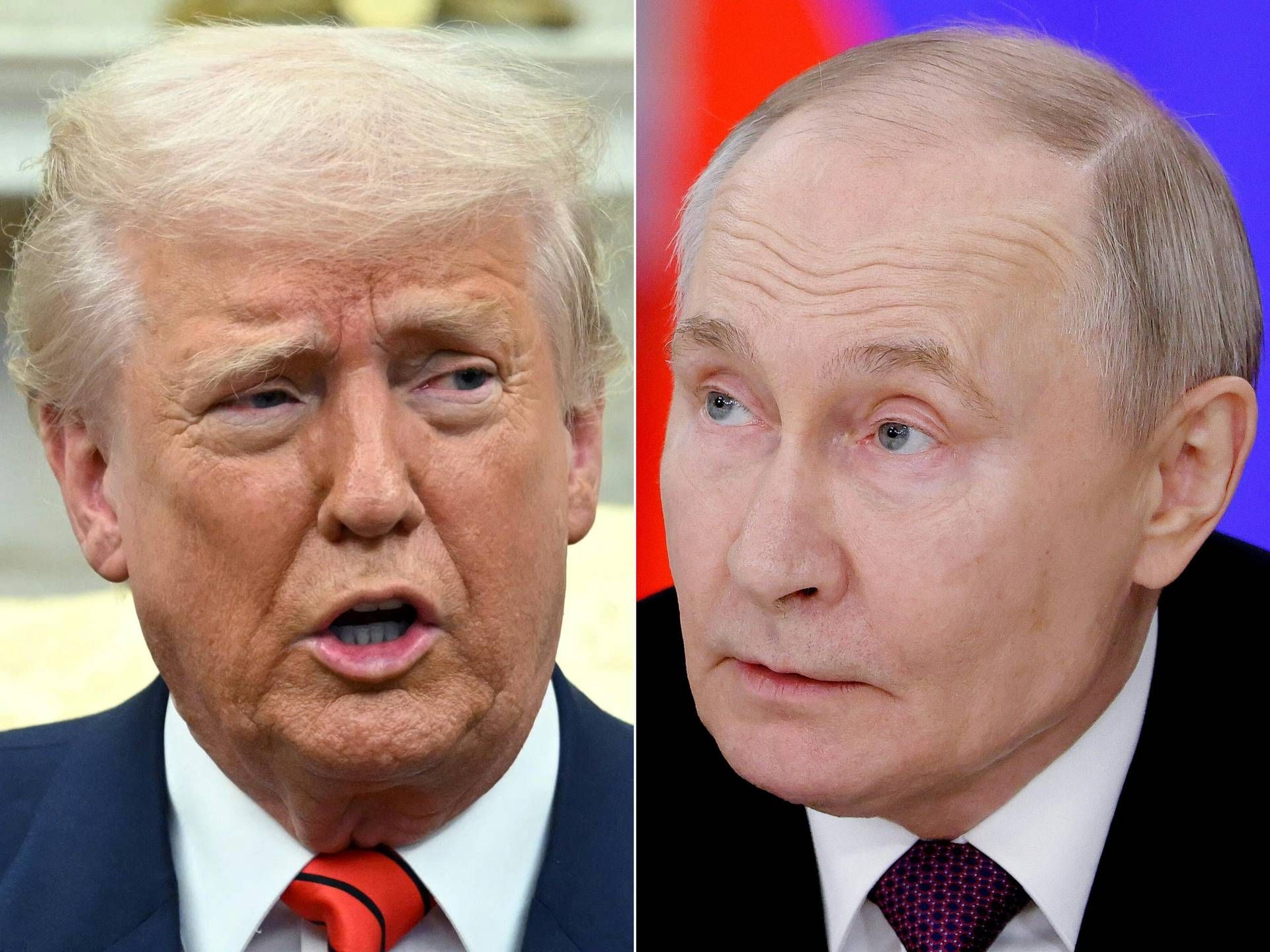 Ucraina, telefonata Putin-Trump: due ore di colloquio sulla tregua