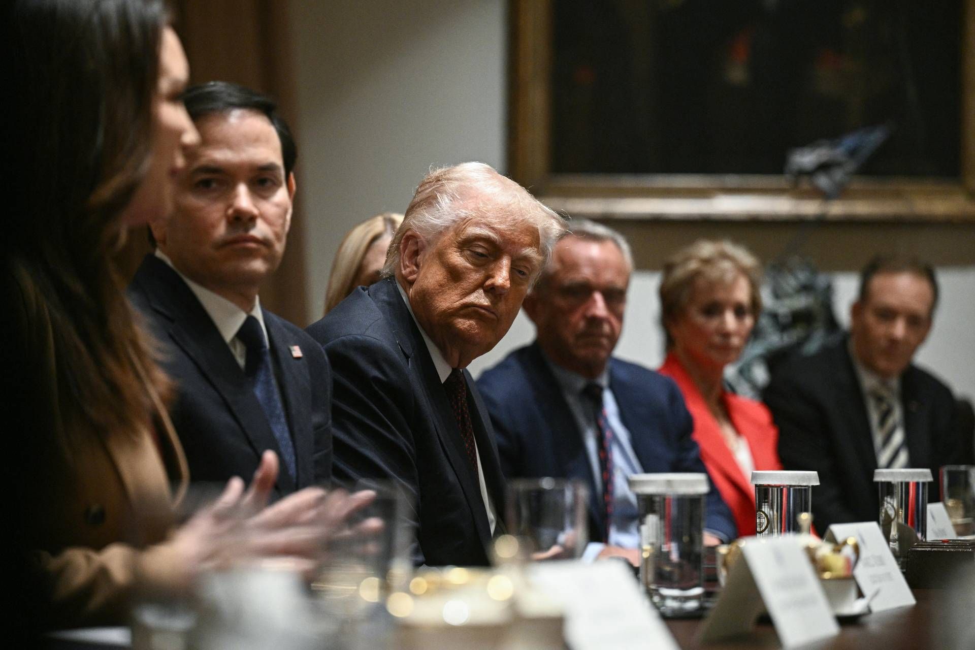 Ucraina, Trump: "Parliamo di centrale di Zaporizhzhia, presto accordo per terre rare"
