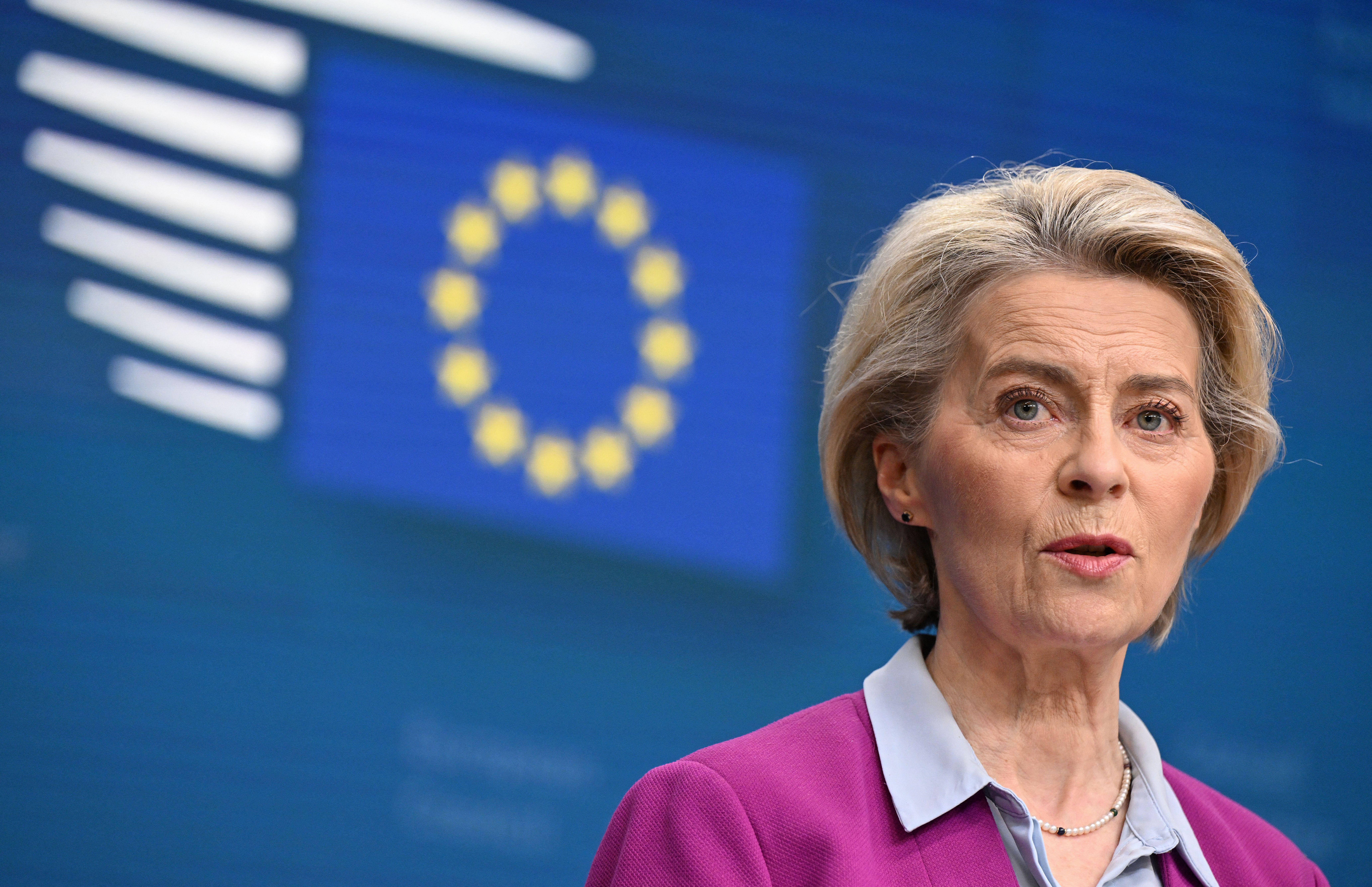 Ucraina, von der Leyen: "Aiuti Ue da marzo, con Kiev per tutto il tempo necessario"