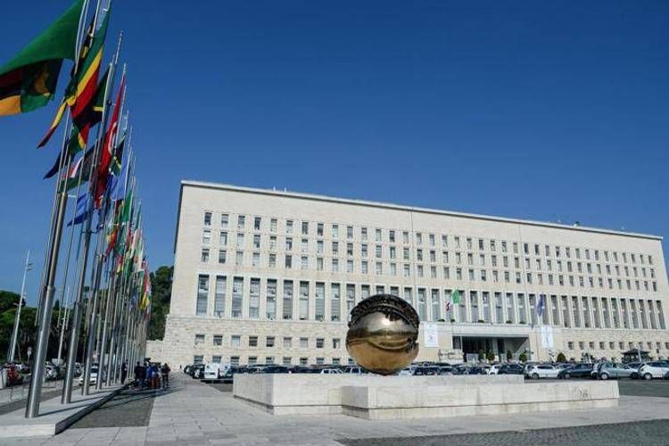 Usa, Farnesina: "Italiana morta 1 maggio in incidente a Yellowstone, altre 6 vittime"