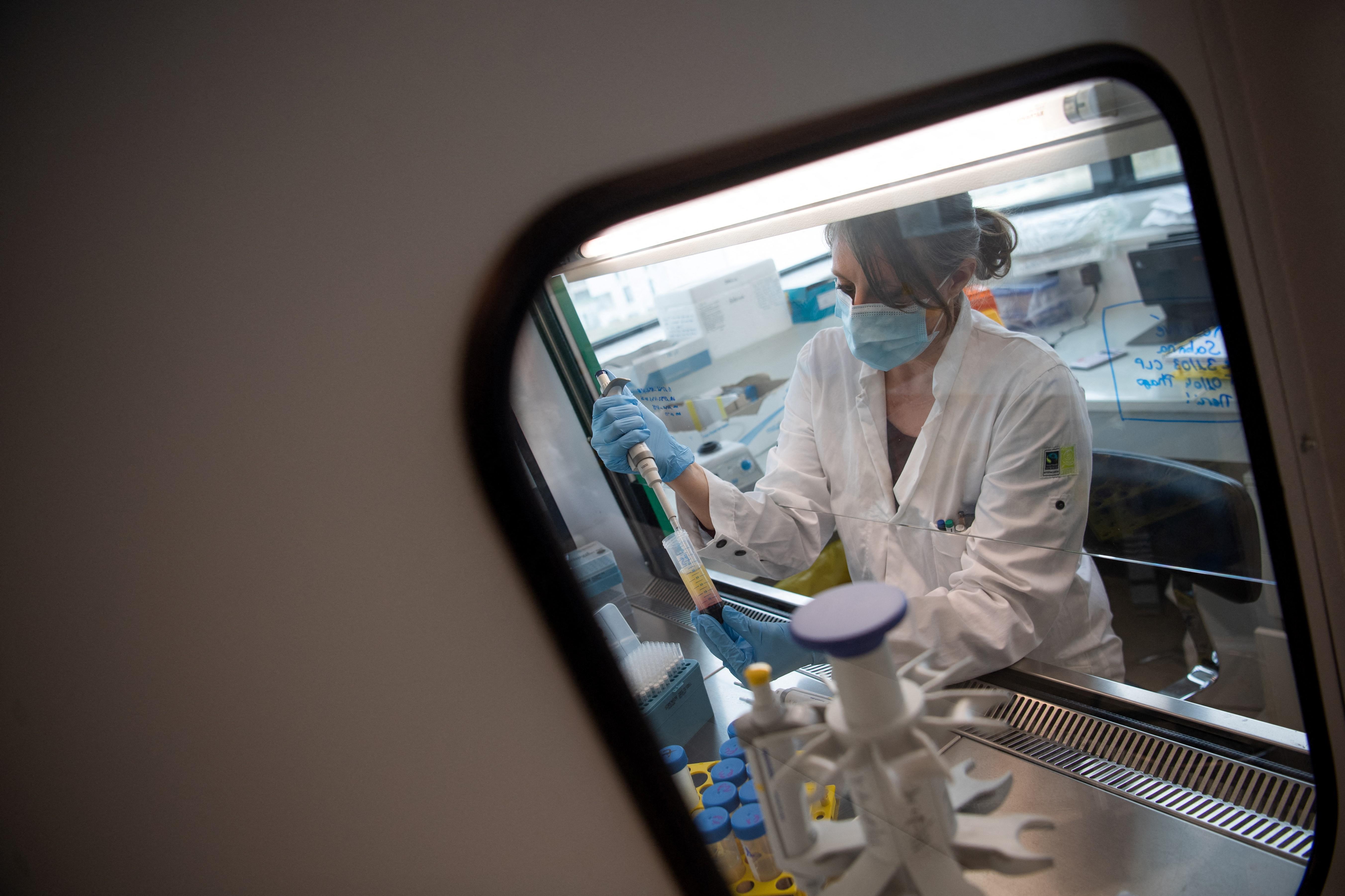 Usa, ok ad anticorpo monoclonale Gsk-Vir Biotechnology per uso in emergenza