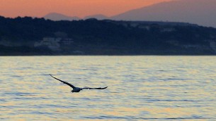 Vacanze estate 2023, ecco quanto costa una settimana al mare