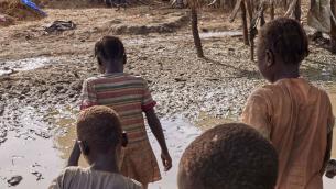 Vaccino anti-malaria, ok dell'Oms: "Momento storico"