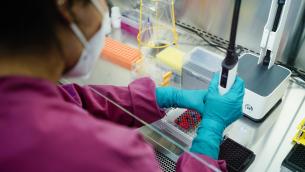 Vaccino covid, proteina N e protezione: nuovo scenario, lo studio