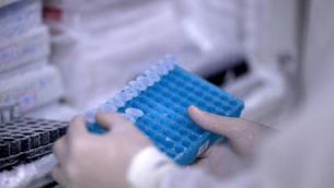 Vaiolo delle scimmie, Nobel Medicina Semenza: "No allarme, scudo vaccini funziona"