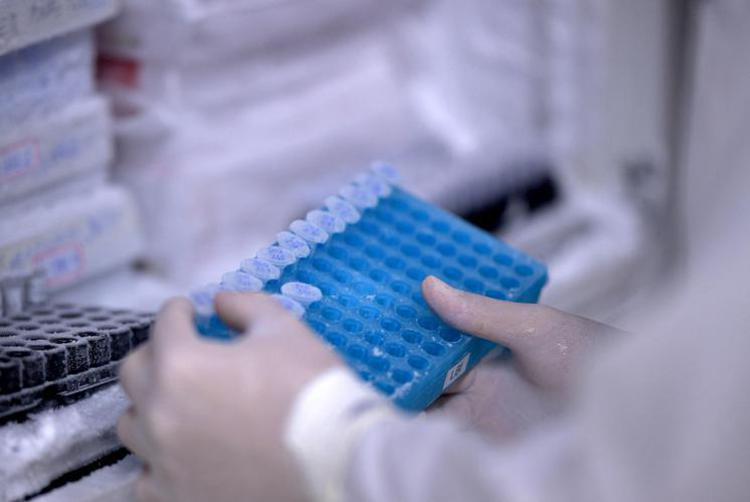 Vaiolo delle scimmie, Nobel Medicina Semenza: "No allarme, scudo vaccini funziona"