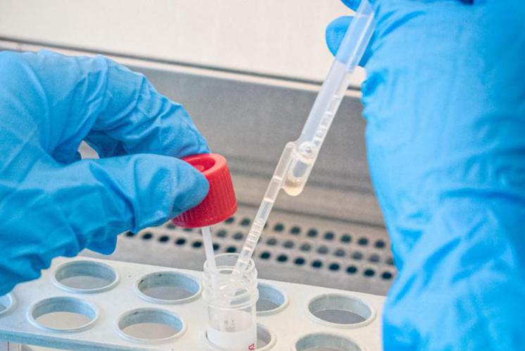 Variante Omicron 3 volte più contagiosa di Delta: quanto dura infezione