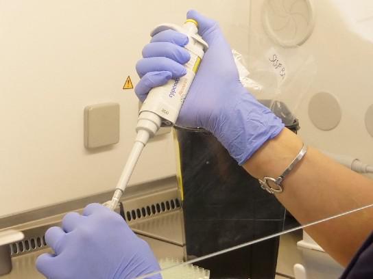 Variante Omicron Italia, Greco (Cts): "Dati dicono che non deve preoccuparci"