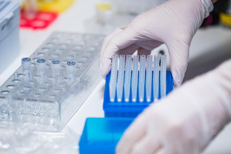 Variante Omicron, Silvestri: "Virus 2022 meno pericoloso, ora misure utili"