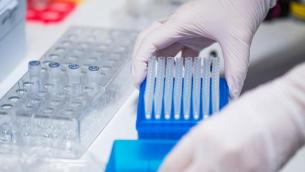 Variante Omicron, studio Danimarca: "Può essere ultima ondata covid"