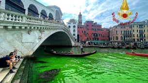 Venezia, acqua verde fosforescente sotto il ponte di Rialto