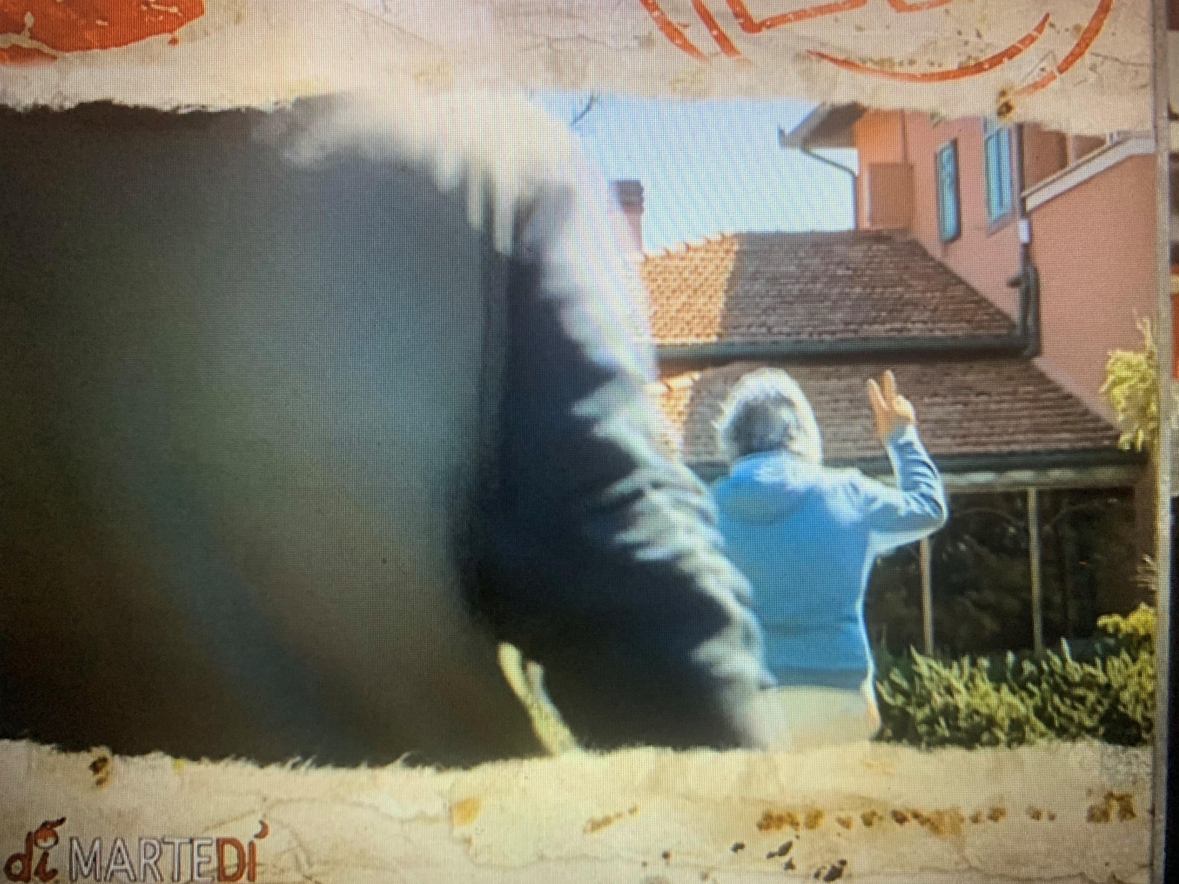 Video Grillo, giornalista: “Pentito?”