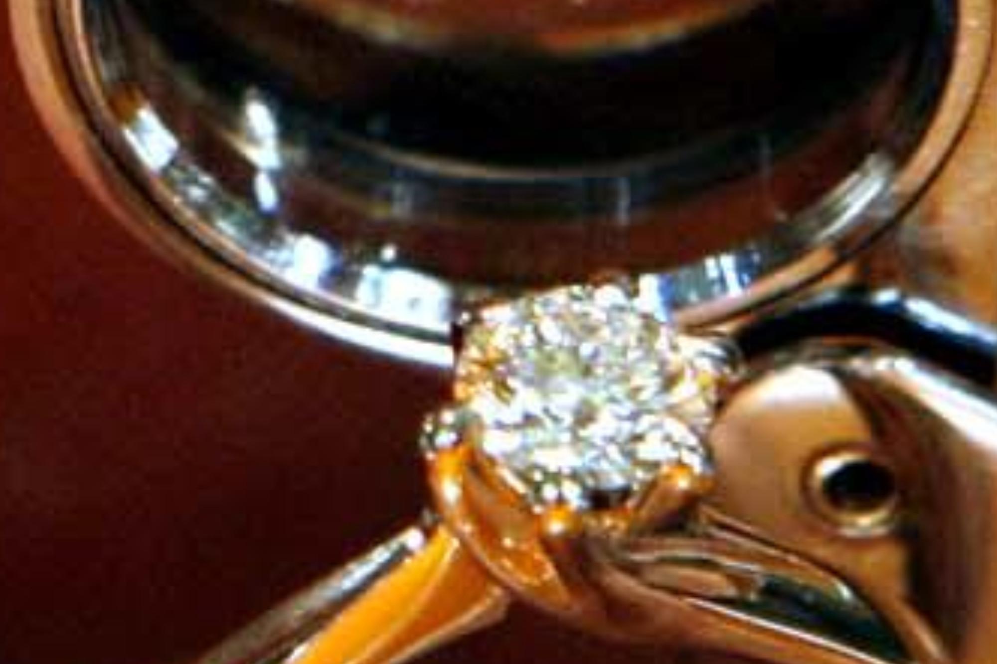 Violetta Caprotti e il giallo del diamante da 3,5 milioni sostituito