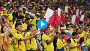 "Vogliamo birra", il coro dei tifosi in Qatar-Ecuador - Video