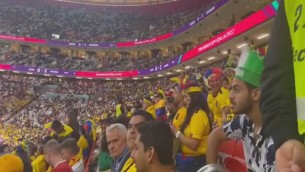 "Vogliamo la birra", il coro-protesta dei tifosi dell'Ecuador - Video